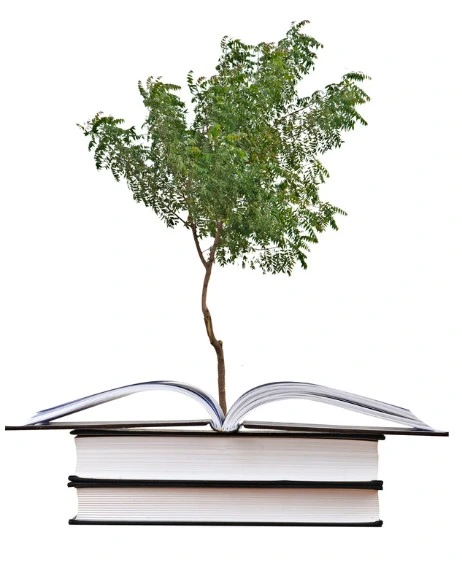 Academic Support